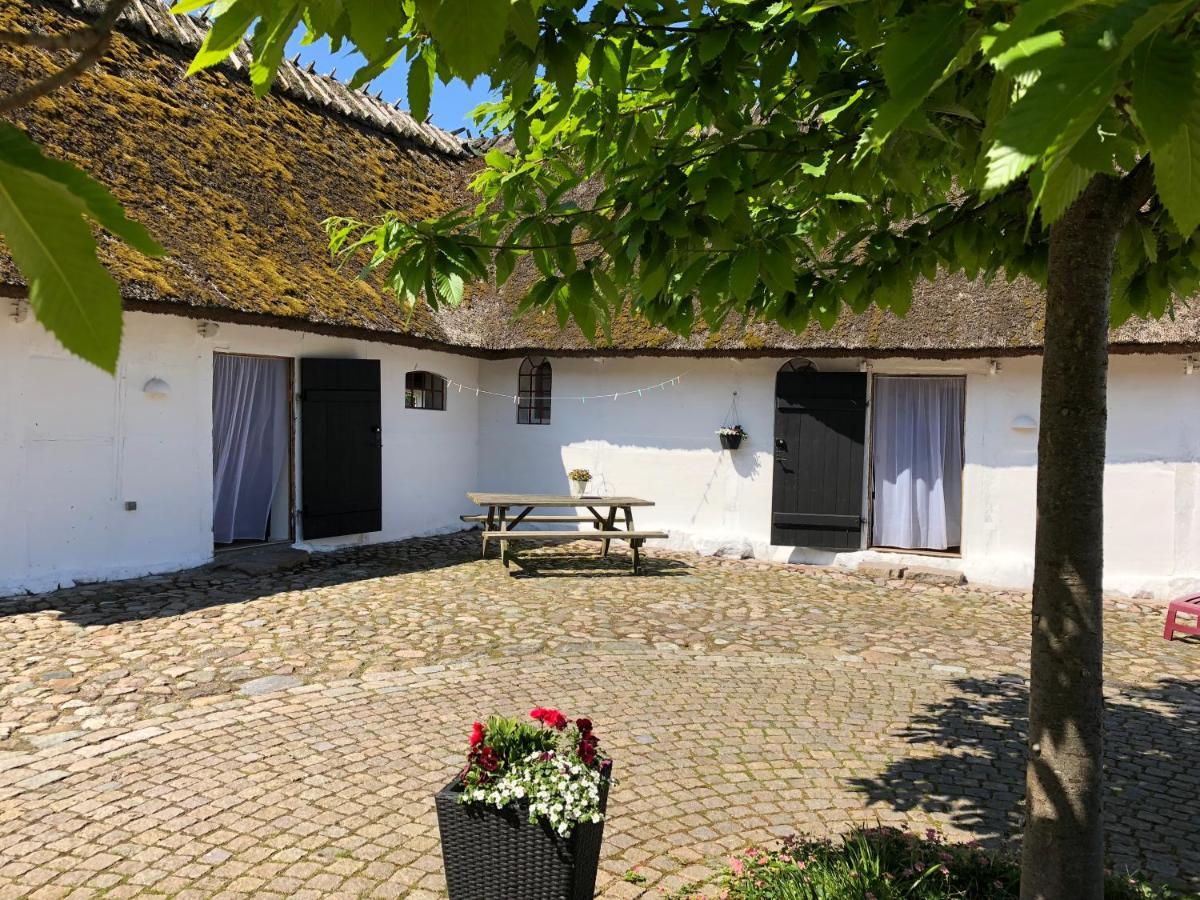 Stragarden Nyord Bed & Breakfast Bagian luar foto